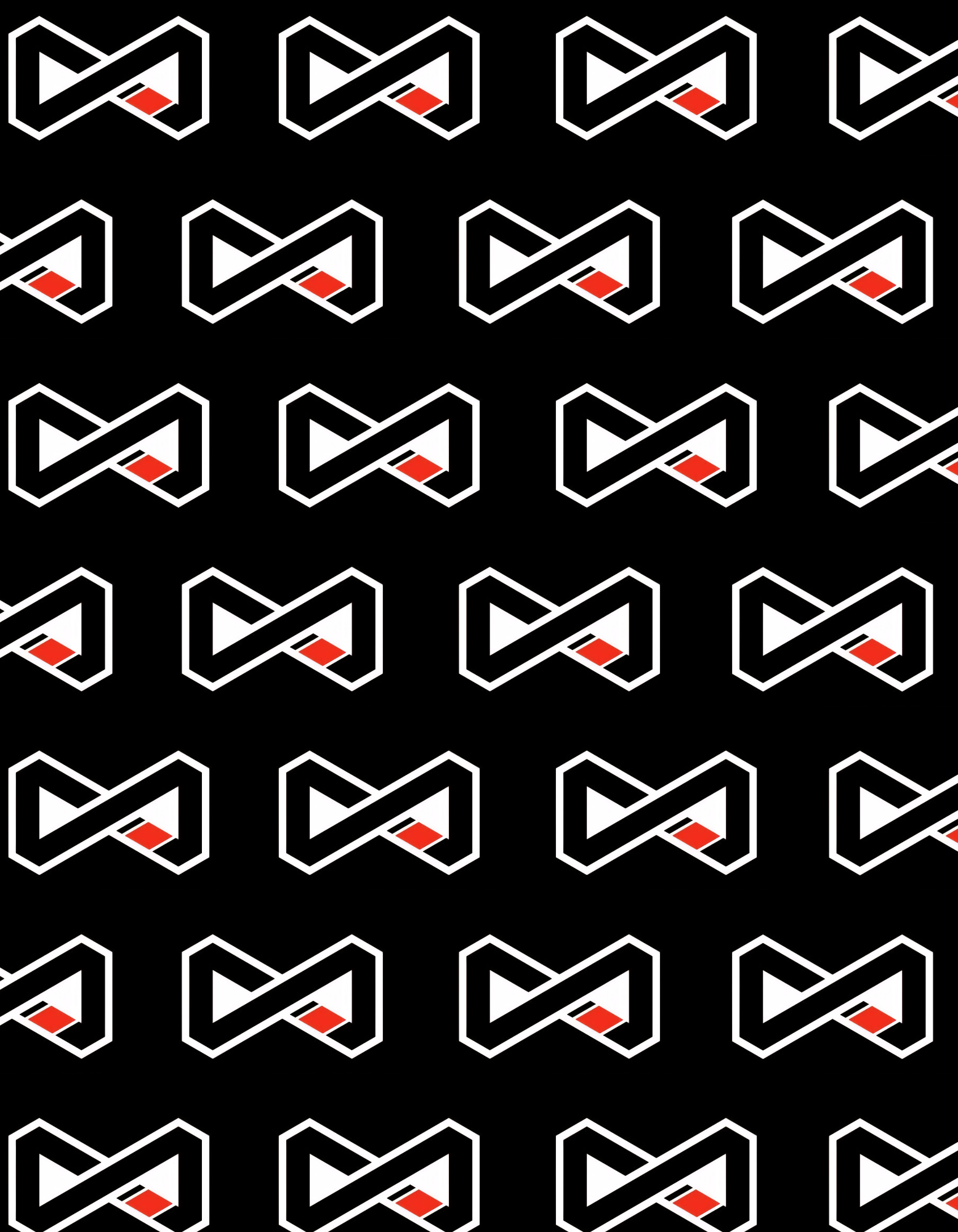 Metamorphica Mixed Martial Arts