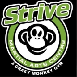 Strive Martial Arts
