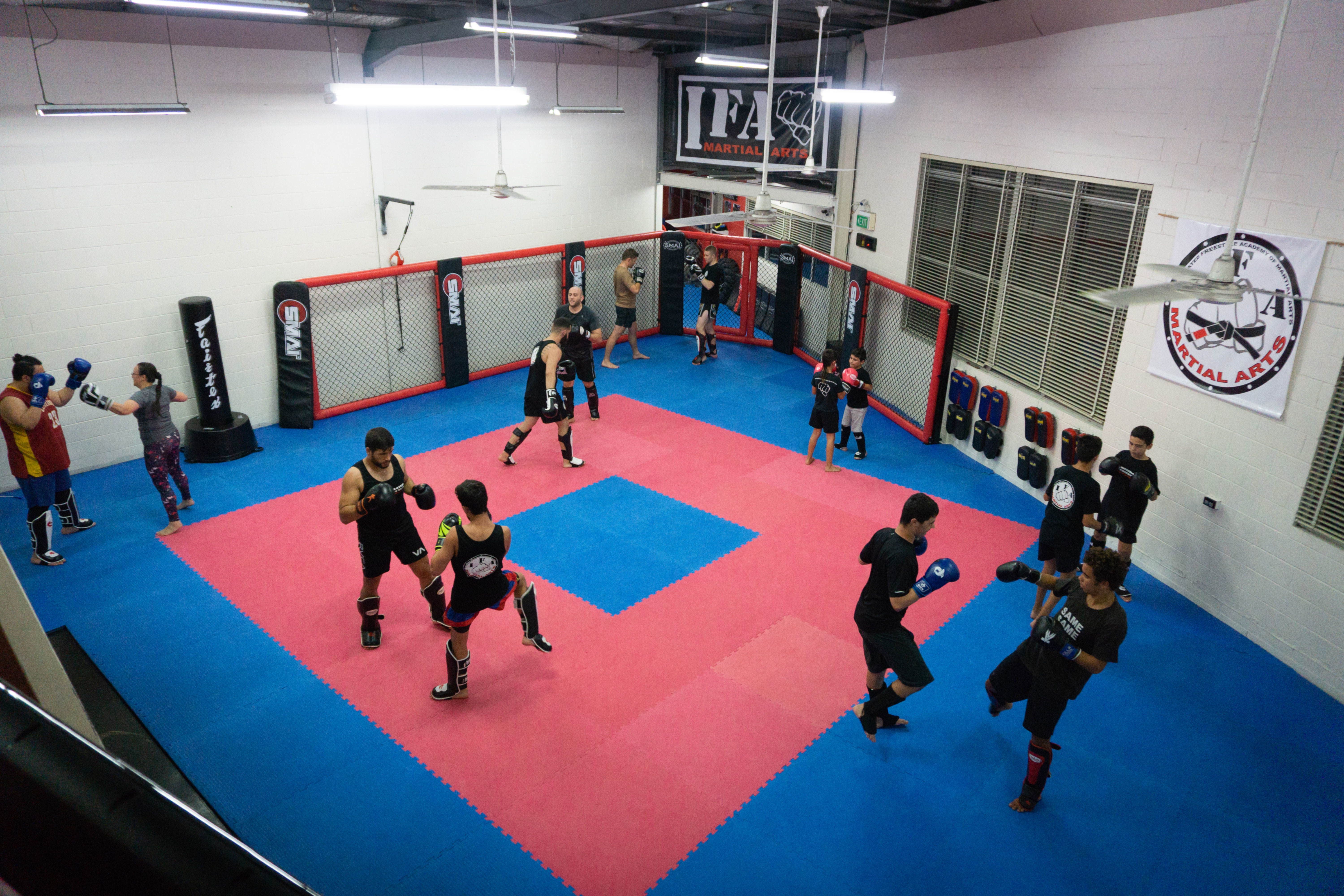 IFA Martial Arts