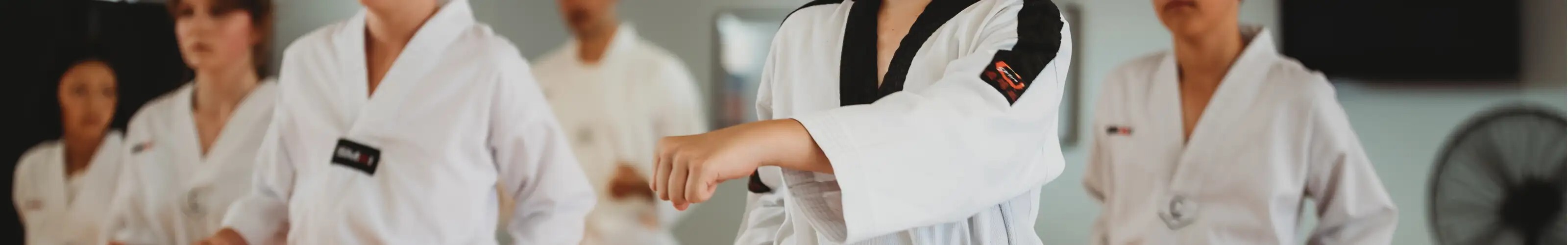 Sangrok World Taekwondo Academy