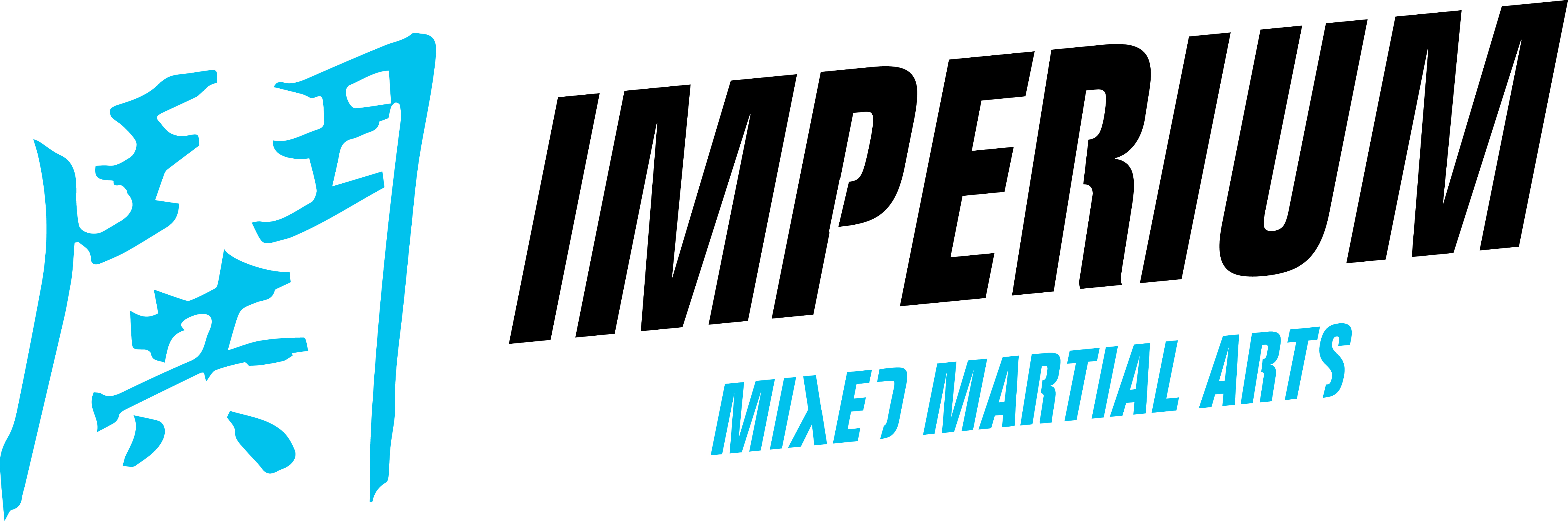 Imperium Mixed Martial Arts