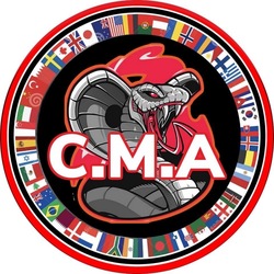 Cobra Martial Arts