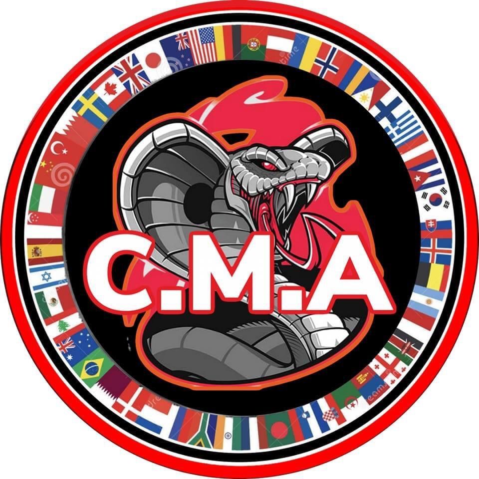 Cobra Martial Arts